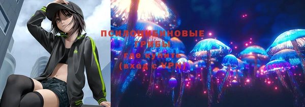 прущий лед Алзамай