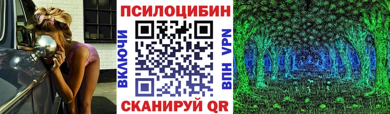 Псилоцибиновые грибы прущие грибы  Себеж 